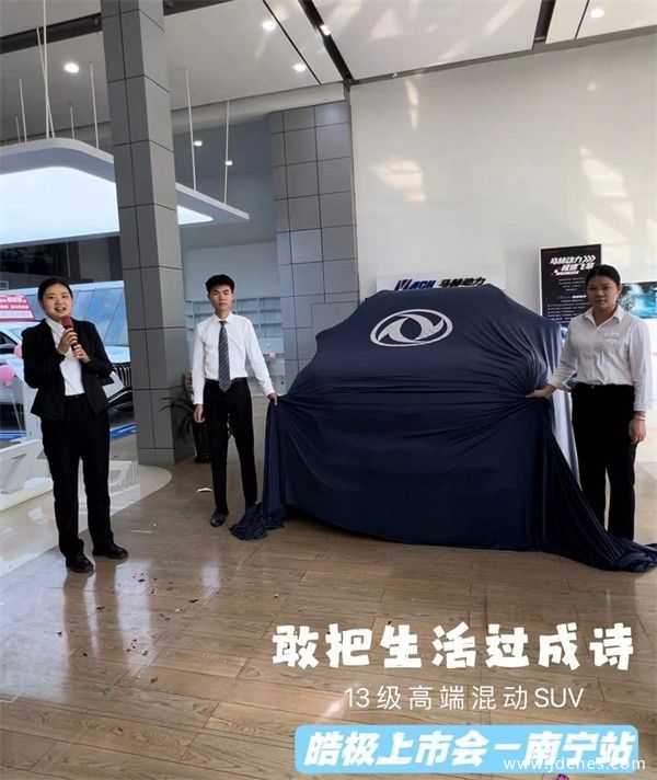 “敢把生活过成诗”   东风风神皓极南宁上市